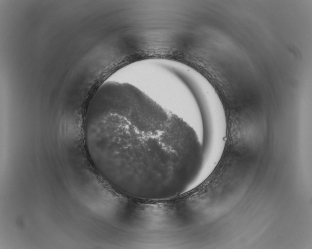 X0000111180411200907221052