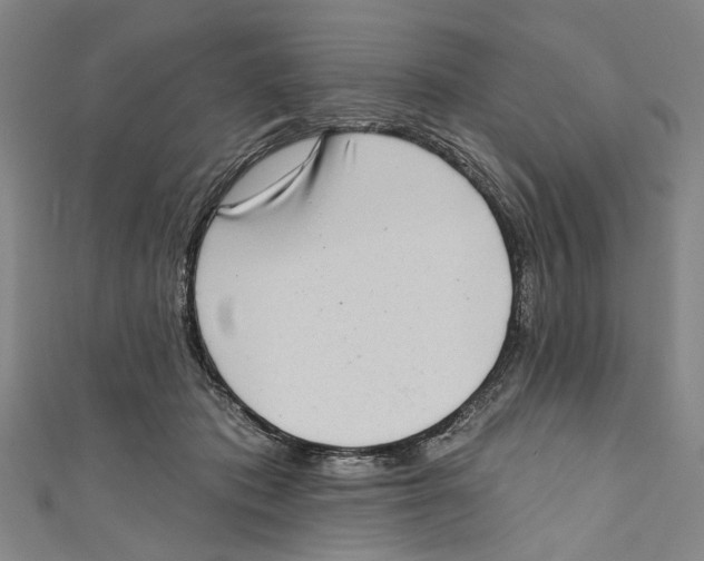 X0000111180413200907221052