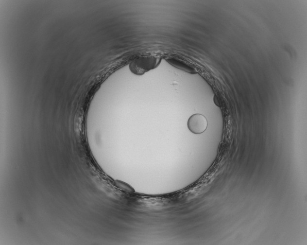 X0000111180417200907221052