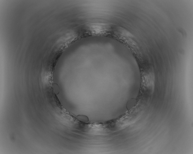 X0000111180419200907221052