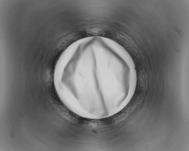 X0000111180420200907221052