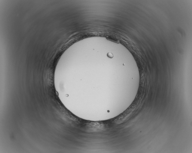 X0000111180421200907221052