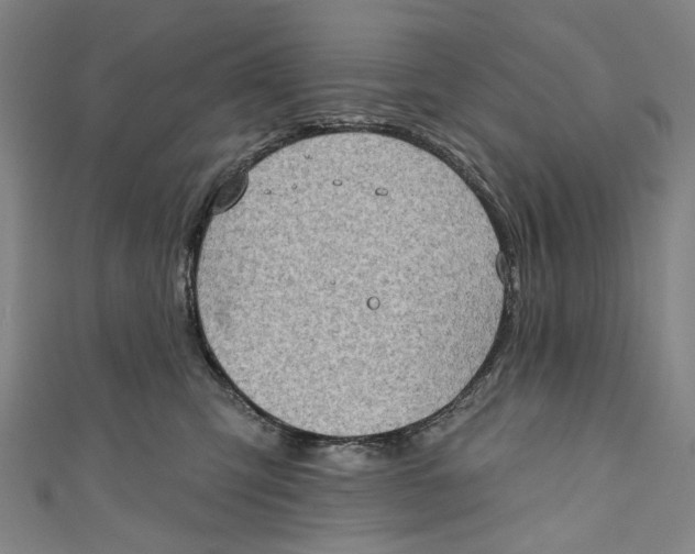 X0000111180423200907221052