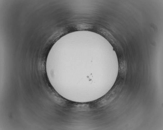 X0000111180426200907221052