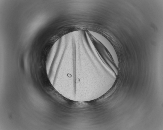 X0000111180429200907221052