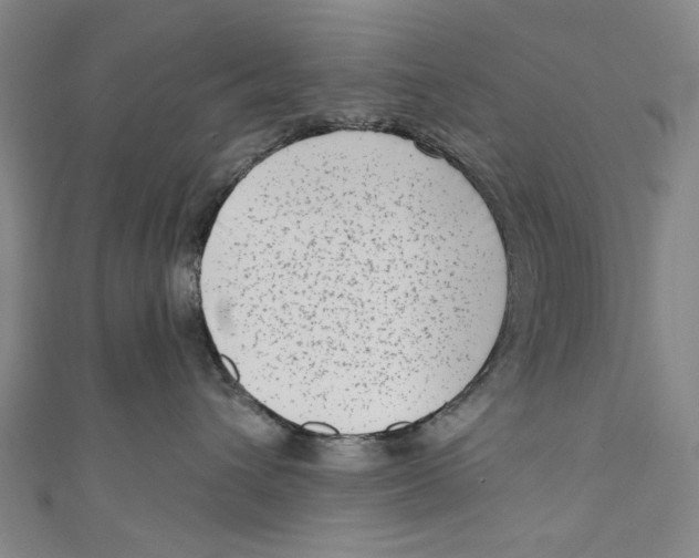 X0000111180432200907221052