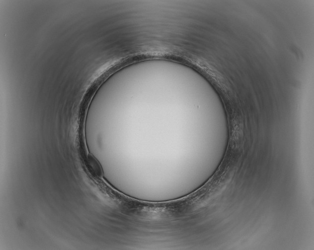 X0000111180440200907221052