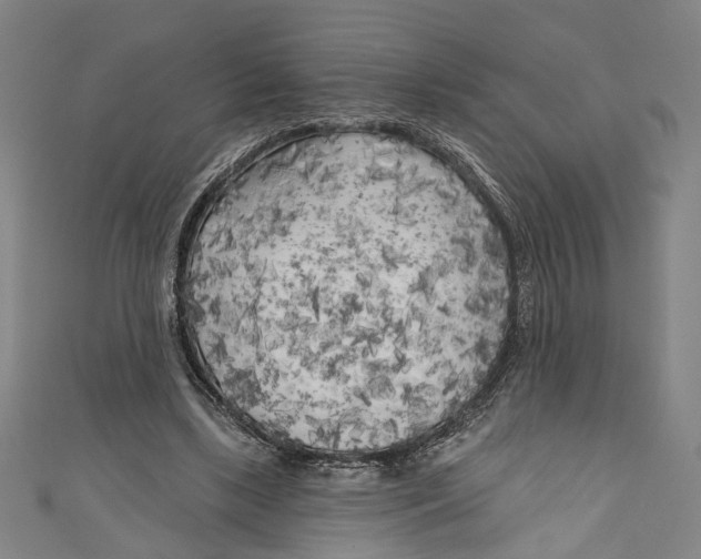 X0000111180443200907221052