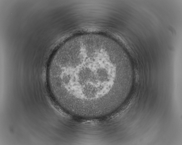 X0000111180447200907221052