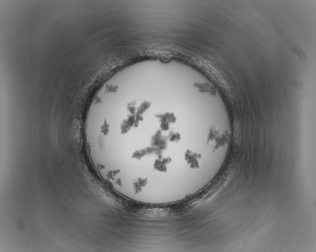 X0000111180449200907221052