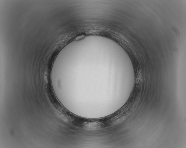 X0000111180452200907221052