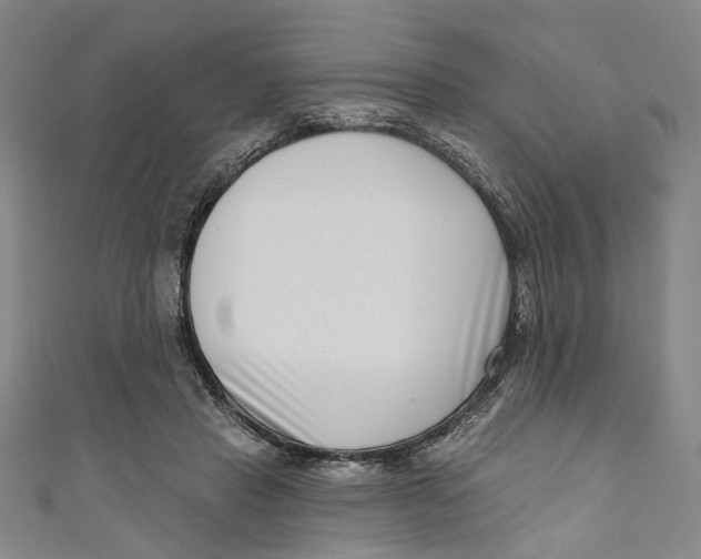 X0000111180453200907221052