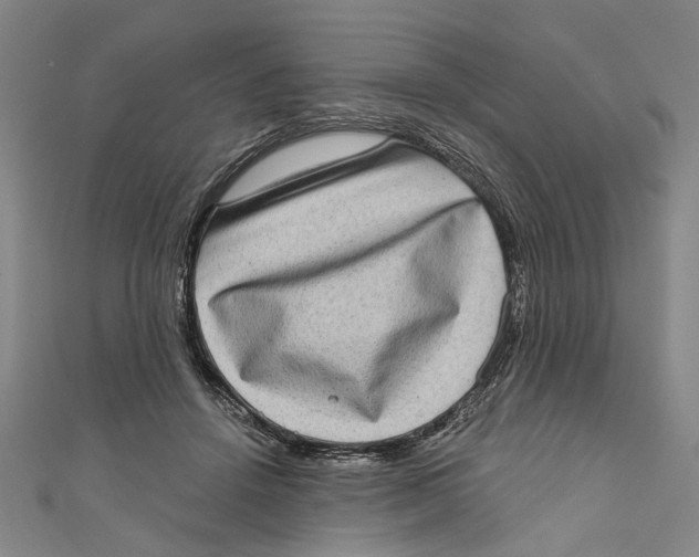 X0000111180456200907221052