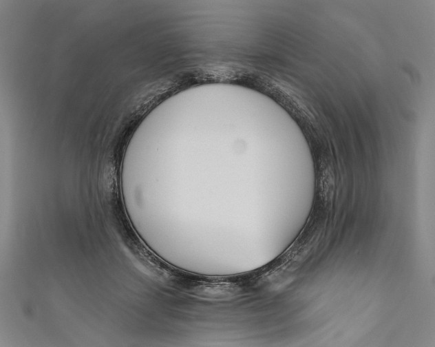 X0000111180459200907221052