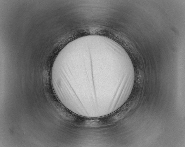 X0000111180461200907221052