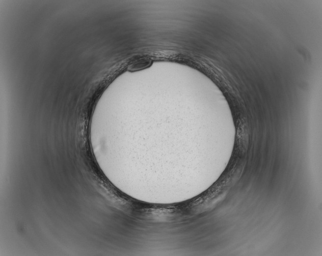 X0000111180462200907221052