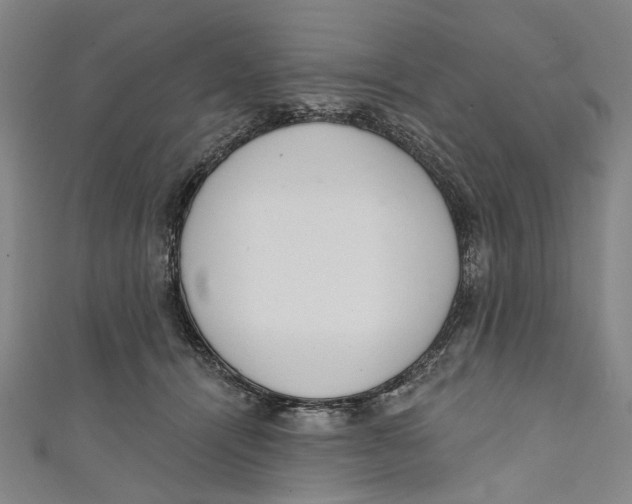 X0000111180464200907221052