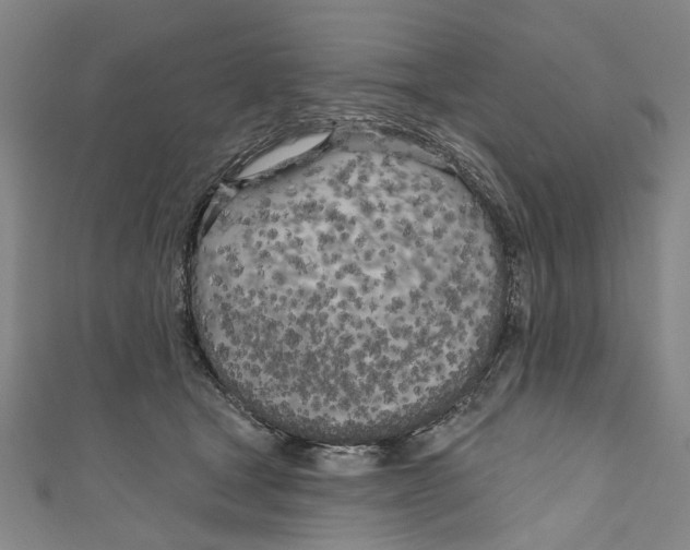 X0000111180465200907221052