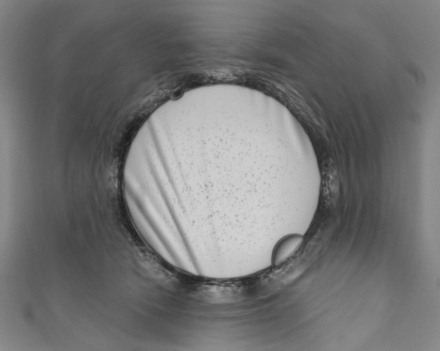 X0000111180466200907221052