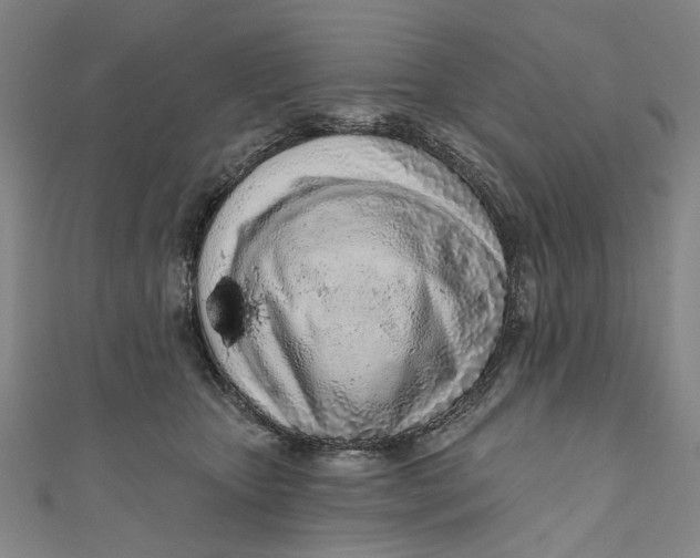 X0000111180467200907221052