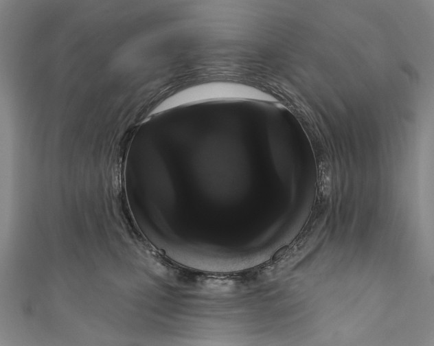 X0000111180471200907221052