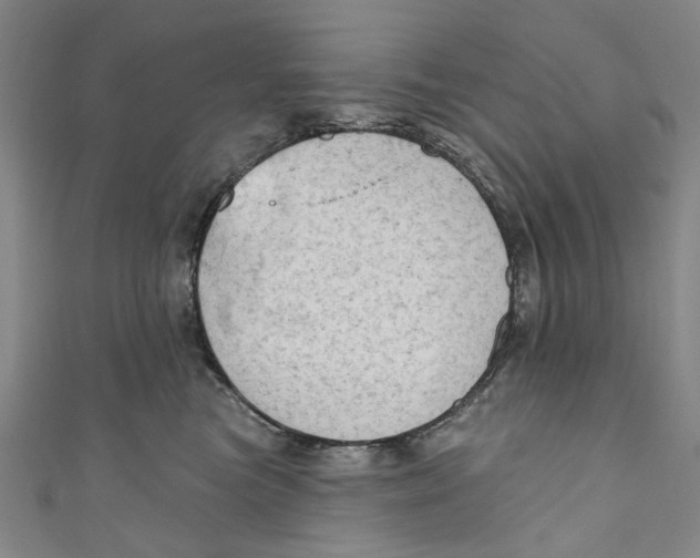 X0000111180473200907221052