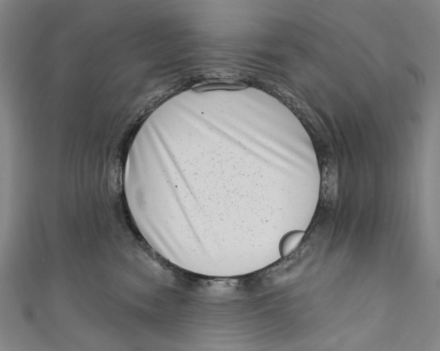 X0000111180474200907221052