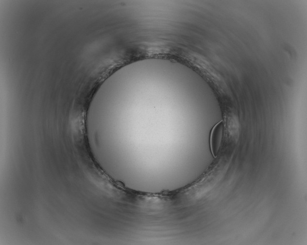 X0000111180475200907221052