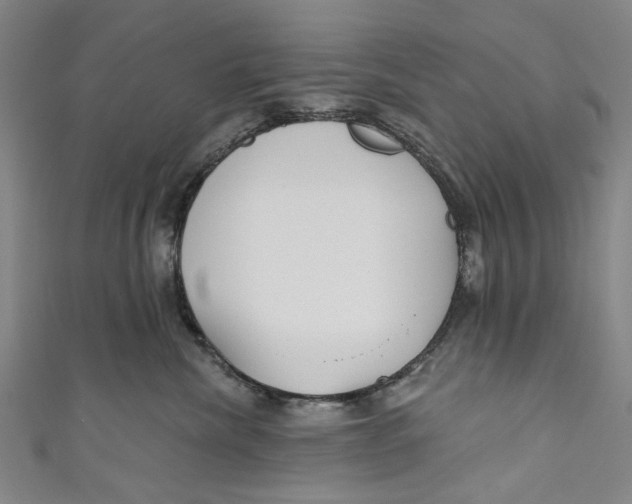 X0000111180476200907221052