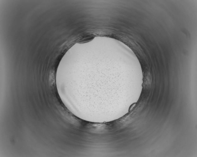 X0000111180478200907221052