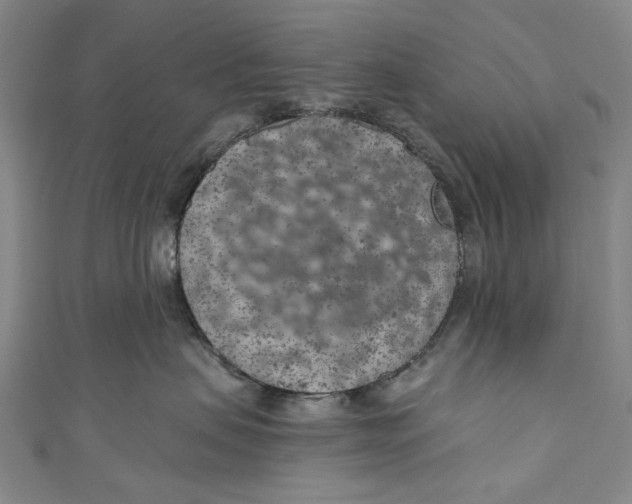 X0000111180479200907221052