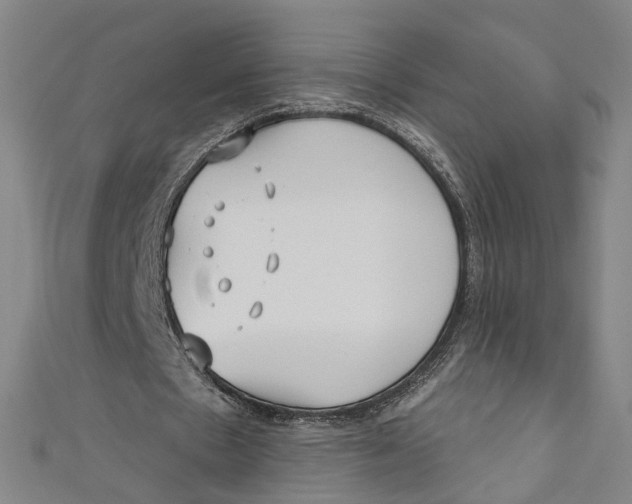 X0000111180481200907221052