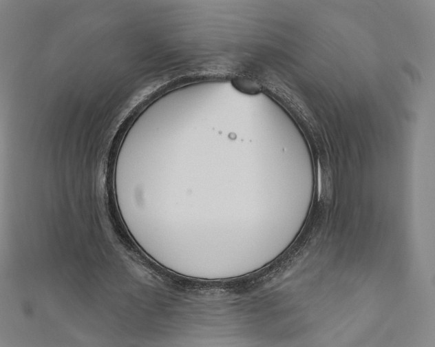 X0000111180483200907221052