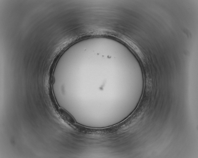 X0000111180485200907221052