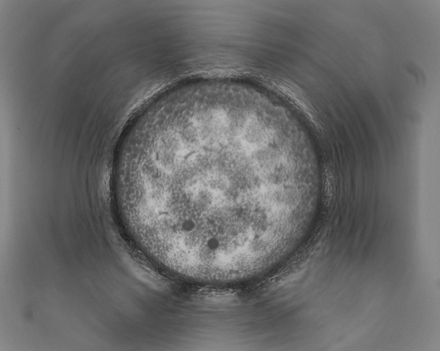 X0000111180491200907221051