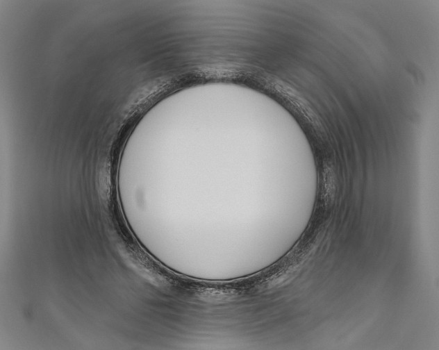 X0000111180494200907221051