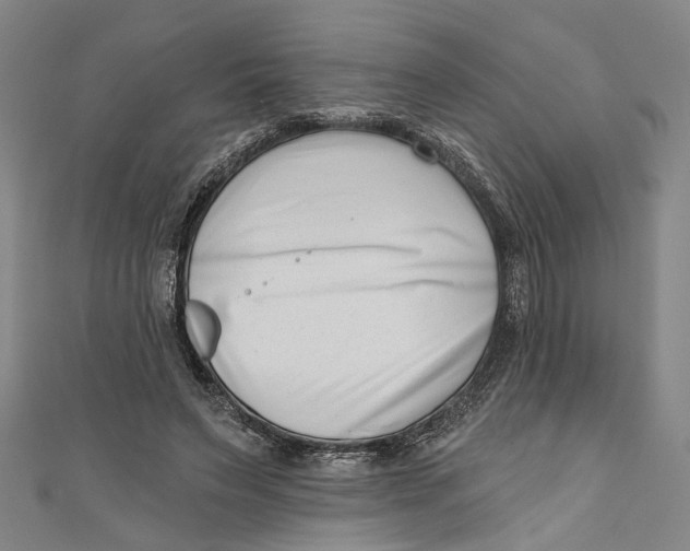 X0000111180495200907221051