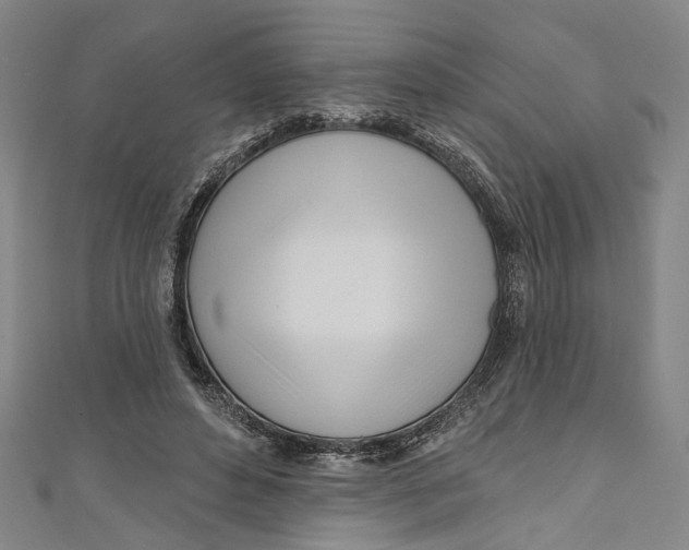 X0000111180496200907221051