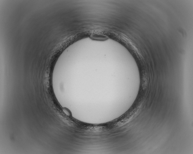 X0000111180497200907221051