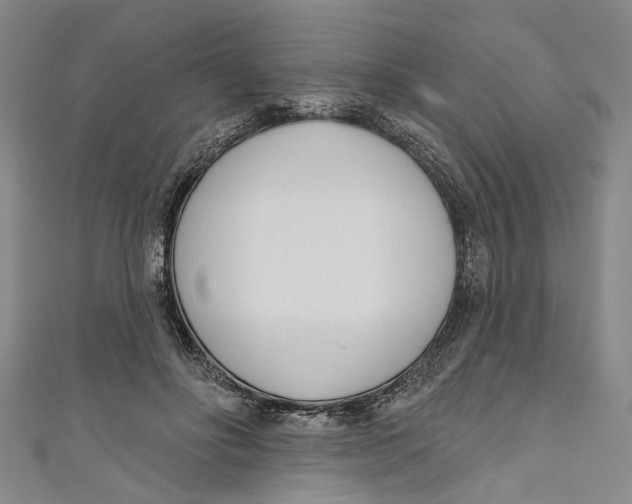 X0000111180502200907221051