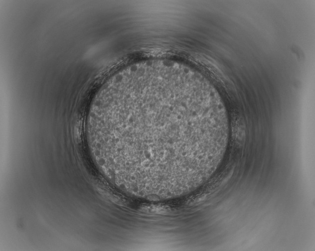 X0000111180503200907221051