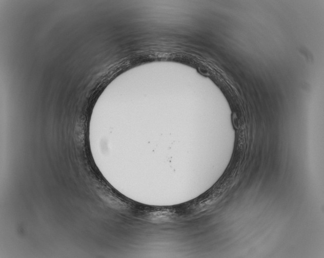 X0000111180505200907221051