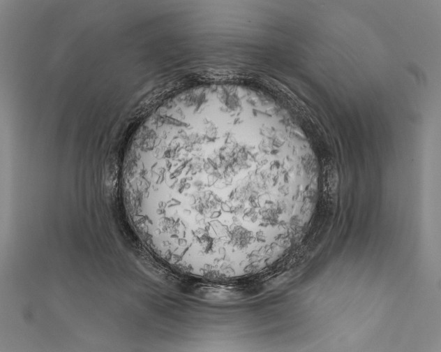 X0000111180507200907221051