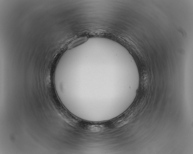 X0000111180508200907221051