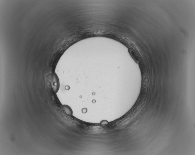 X0000111180509200907221051