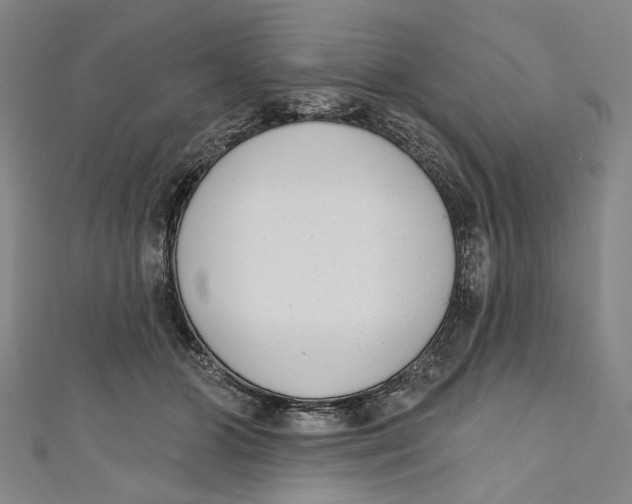 X0000111180510200907221051