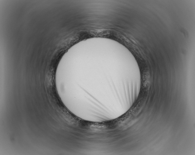 X0000111180515200907221051