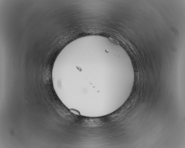 X0000111180517200907221051