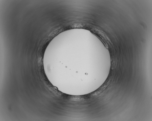 X0000111180521200907221051