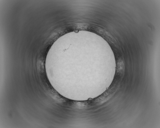 X0000111180522200907221051